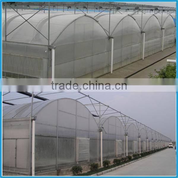 Large Multi-span Agricultural Greenhouse for Sale