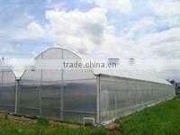 Greenhouse poly film