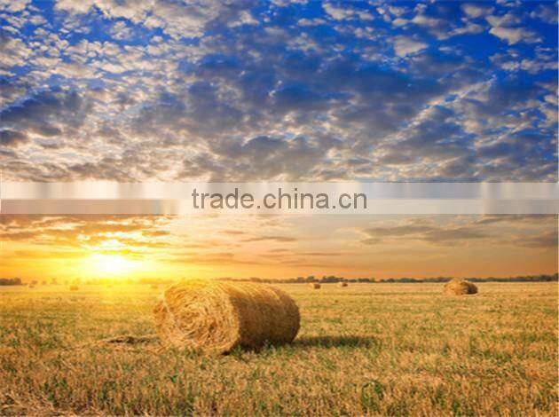 New!cheap!high-Q!hay bale net wrap