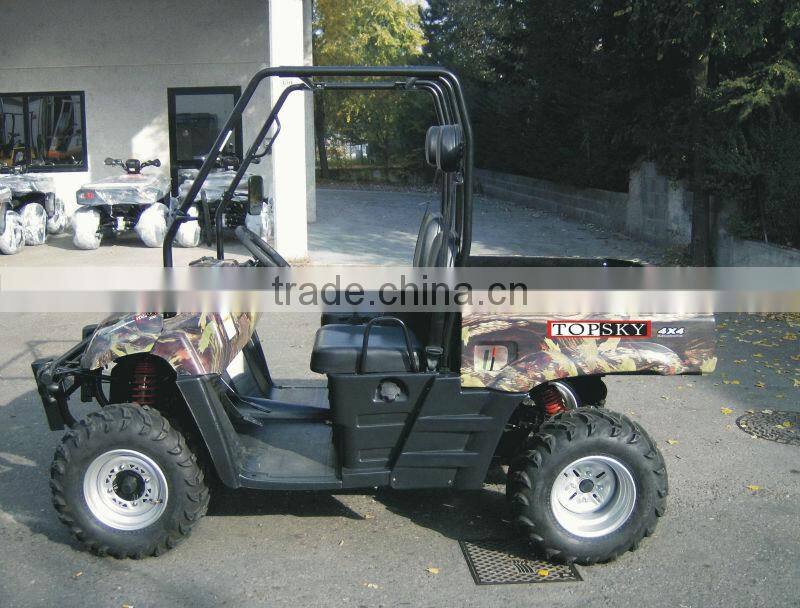 300cc Utility Vehicle UTV300A