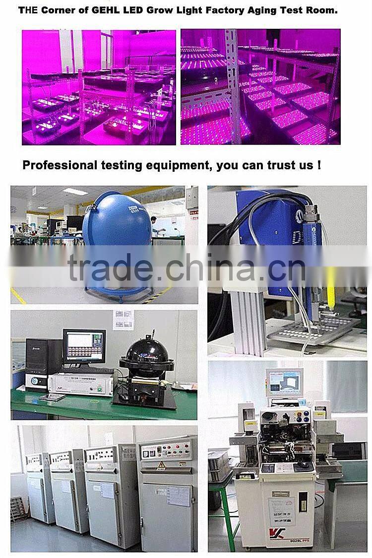 Hot wholesale sunflower type 600W high eneegy indoor grow light