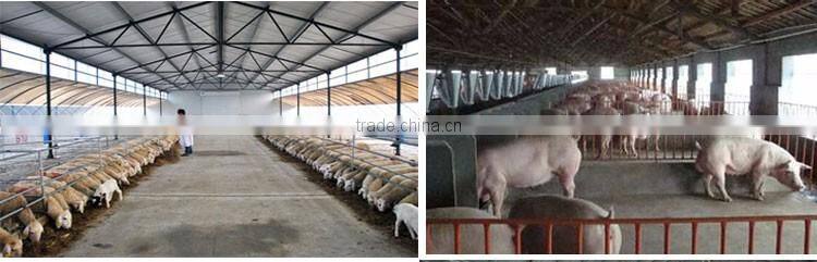 Professional mushroom greenhouse pe surface protective film