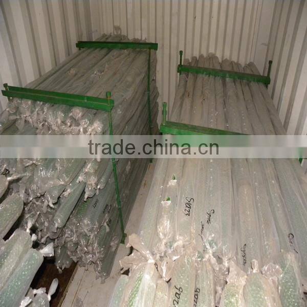 China Honglu Light Steel Car Show Room