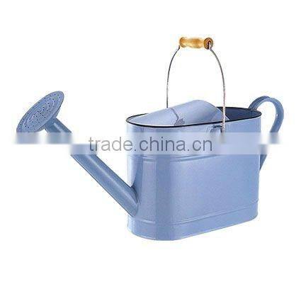 Metal dual actional watering can with removable threaded shower head perfect for garden horticultural cultivation & maintenance