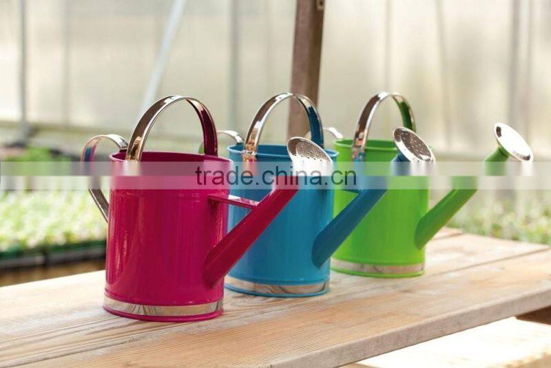 Garden Plants Flower Water 1 Gal. Metal Indoor Outdoor Basic Watering Can