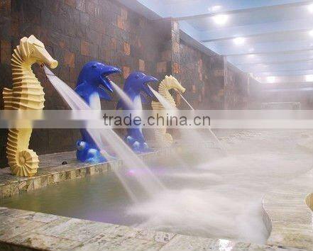 cartoon impact bath Dolphin spa bath and impact bath