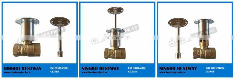 Gas Fryer Valve with Nickel Plated Key Manufacturer