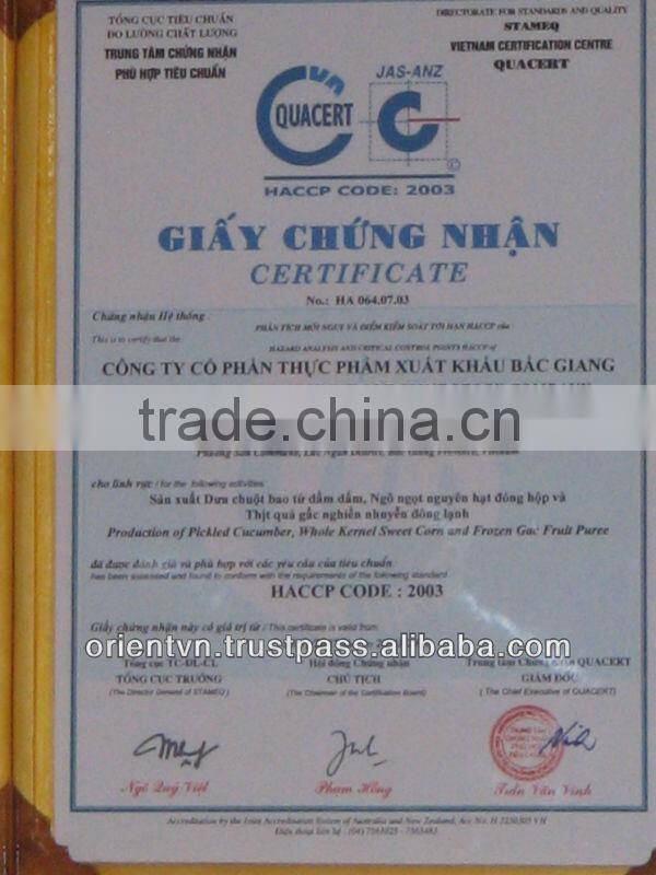 Best Selling Vietnamese Gherkins in brine