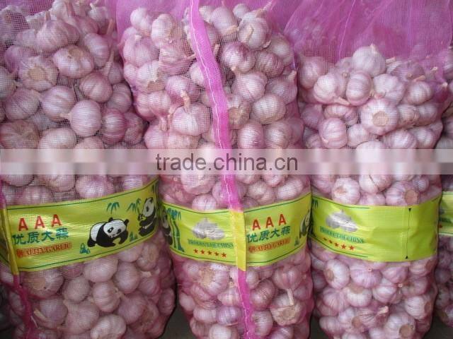 Chinese Fresh Normal White Garlic New Crop 2016 Top Quality