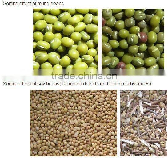 Pine Nuts Color Sorting