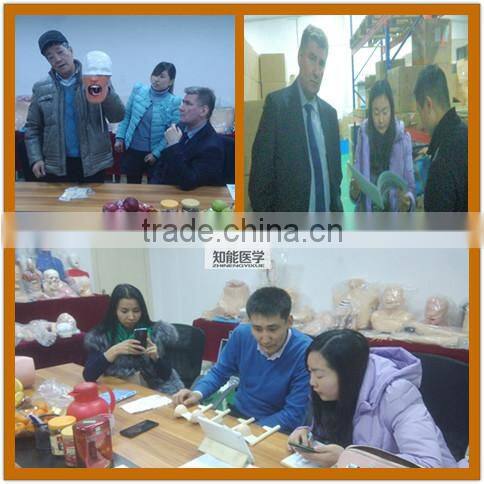 180cm Medical Human Anatomical Skeleton Model