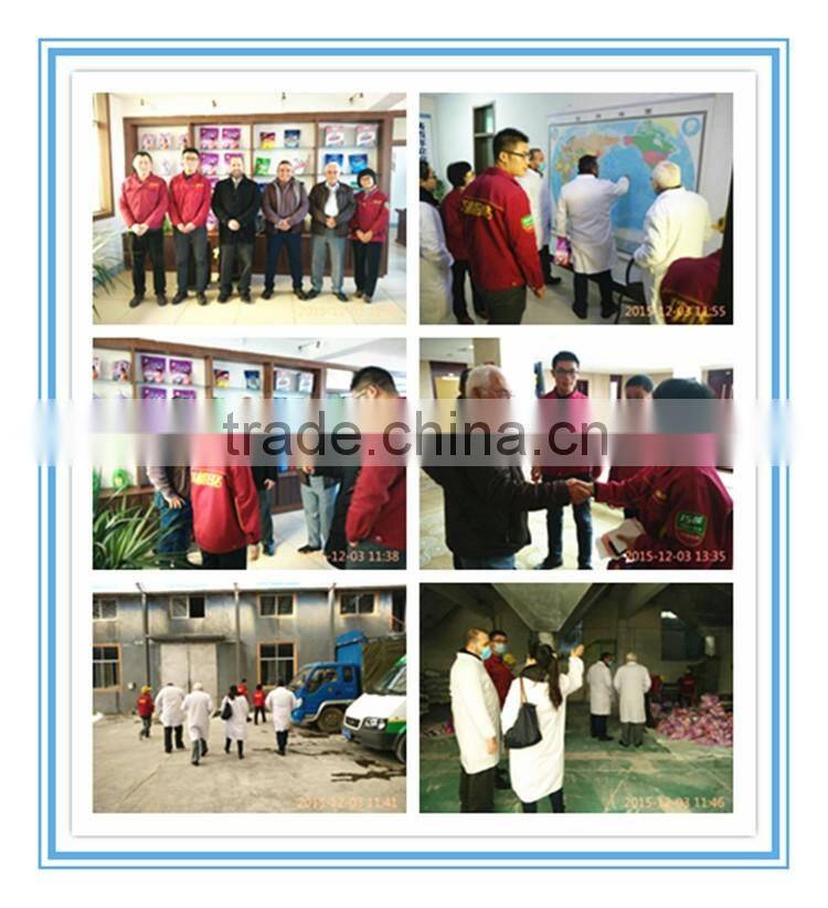 wholesale detergent powder with phosphate