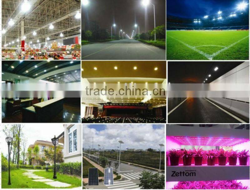 Industrial lamp fitting with induction light