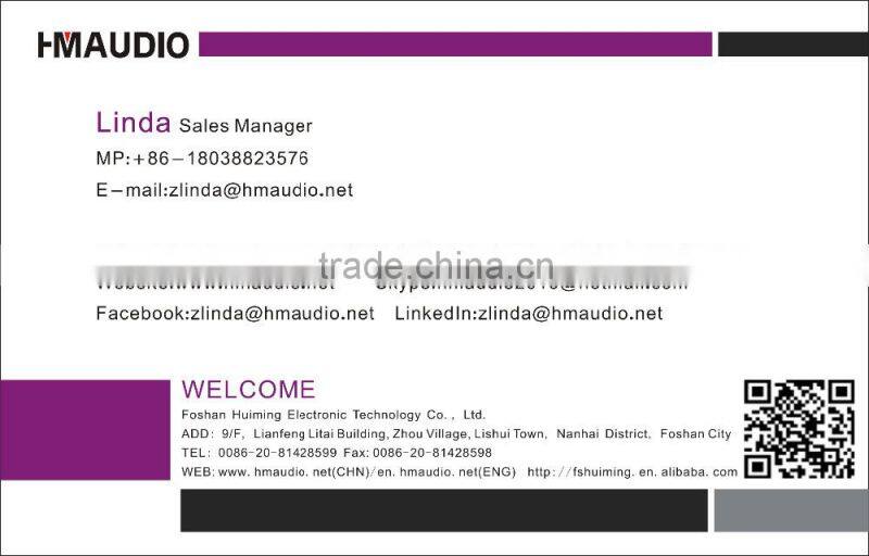 EQ231Hot Sale Graphic Equalizer For conference room