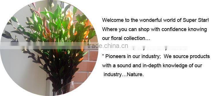 Cheap Artificial Foam Orange Money Tree plant