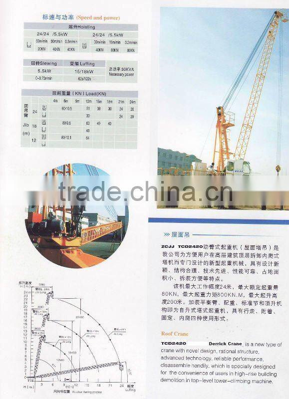 TCD2420A(8) derrick crane