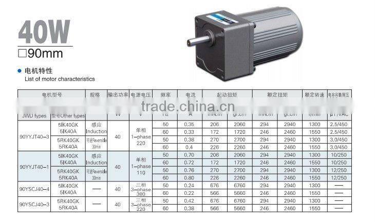 AC synchronous 6W to 200W gear motor