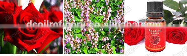 Lavender/Honeysuckle/Violets/Lemongrass/Rosemary essential oil distillation equipment