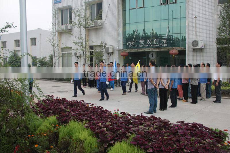 Airport VIP luggage trolley