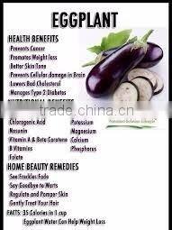 Viet NamOriginal Frozen Eggplant good quality