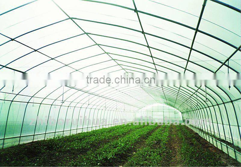 Economical Tunnel greenhouse