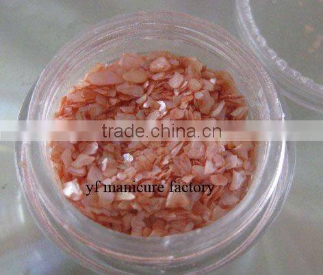 12 Color Acrylic UV Gel Nail Art Glitter Dust Walnut Shell Powder