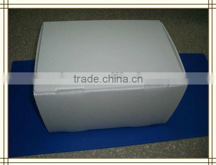 Nice design pp flute packing box