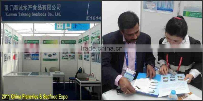 Frozen Indian Mackerel