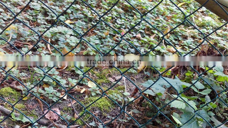Hot Dipped Galvainzed Powder Coated Chain Link Fence Panels