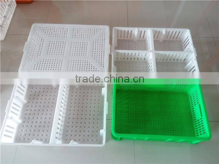 Goldenest large plastic chicken feeders and drinkers used poultry crates chicken waterer feeder for sale cheap price JCJ06-02