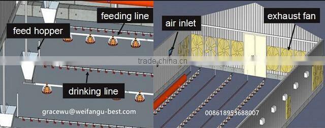 chicken poultry equipment steel frame chicken house for broiler