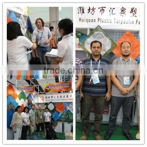 Swimming Pool Tarp silver