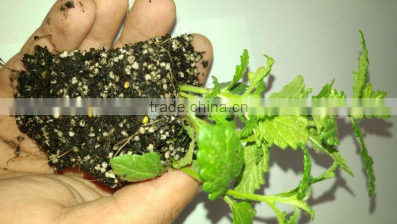 Hydroponic Growing Medium Expanded Perlite / Vermiculite