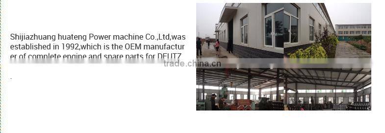 Hight quality spare parts FL1011F 0417 8968 oil pump