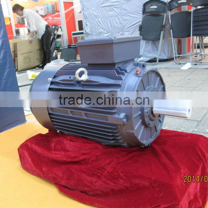 IE3 Standard High Efficiency Cast Iron Three Phase Electric Motor T3C 160L 2