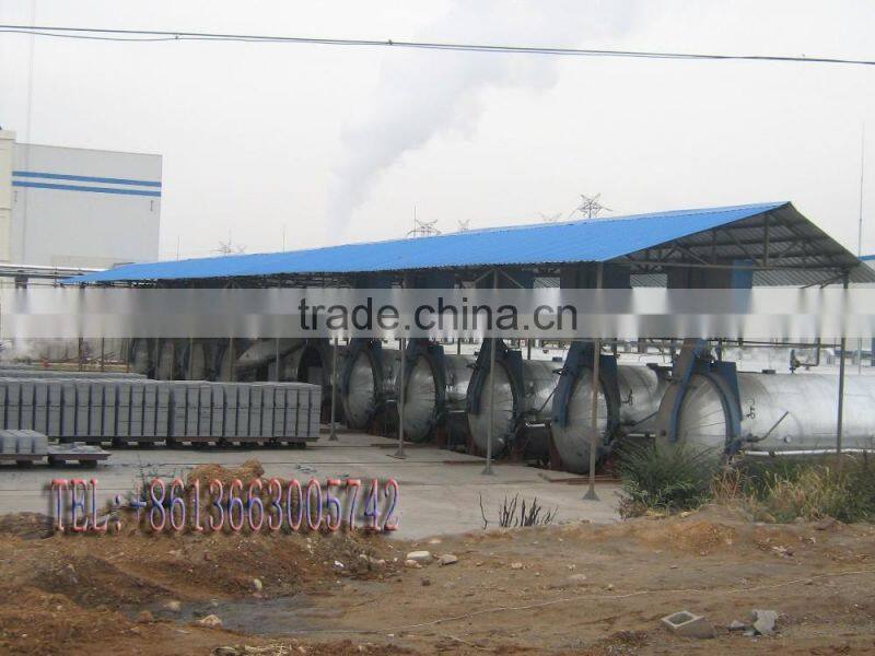 Lightweight Autoclaved Aerated Concrete AAC Panel Making Machines, Wall Panel Production Line