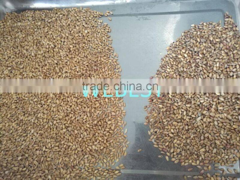 Color sorter for grain,seeds,rice grand selection