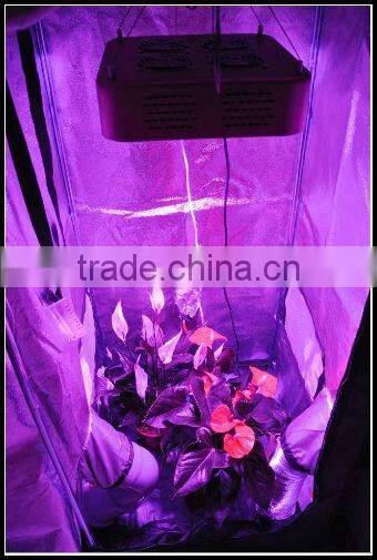 VanQ Newest integrated grow light with good heat dissipation system modular indenpendent desgin and optical lens