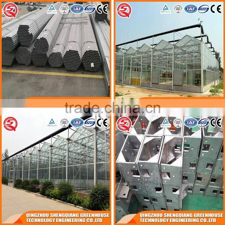Vegetables product glass greenhouse with cooling system
