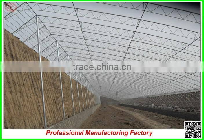 single-span large tunnel solar greenhouse for flower/vegetable growing