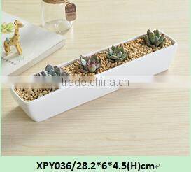 Indoor mini glazed white pottery planter for succulent