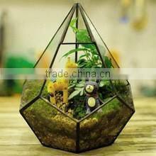 Micro landscape indoor glass greenhouse/ clear glass indoor plant terrarium /Geometric Glass Terrarium