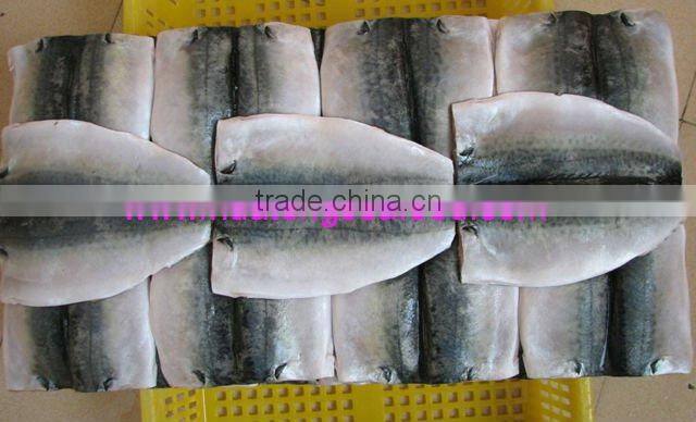 sea frozen 1000+ bonito tuna