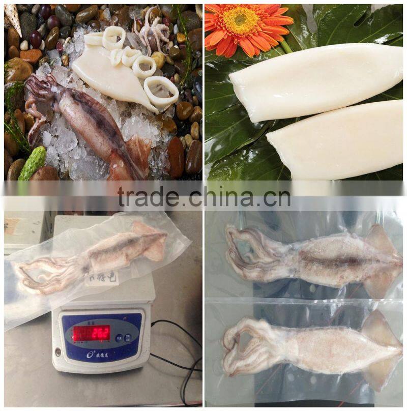 Hot sales iqf Pacific squid tube