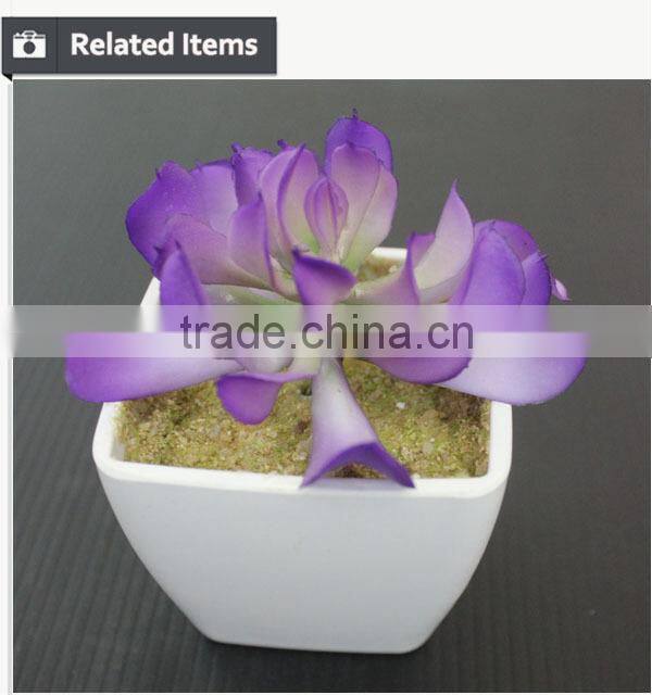 Hot sale artificial potted plants chinese succulent plants