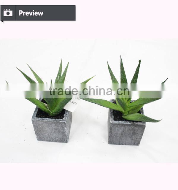 Artificial mini aloe little plants succulents plants artificial mini succulents