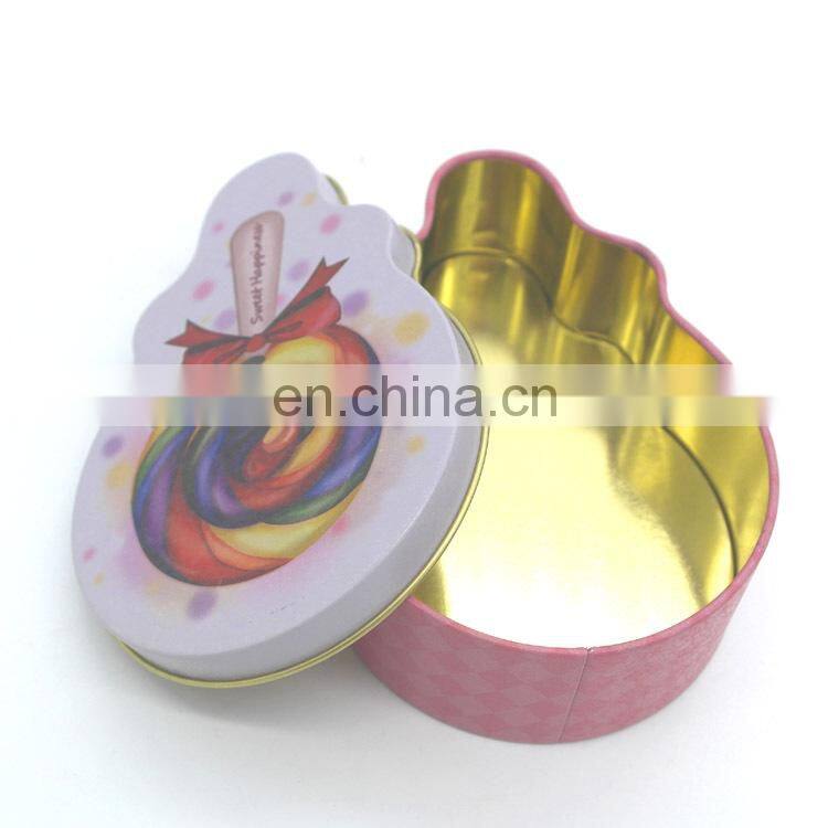 Custom candy shape small sweet metal tinplate case