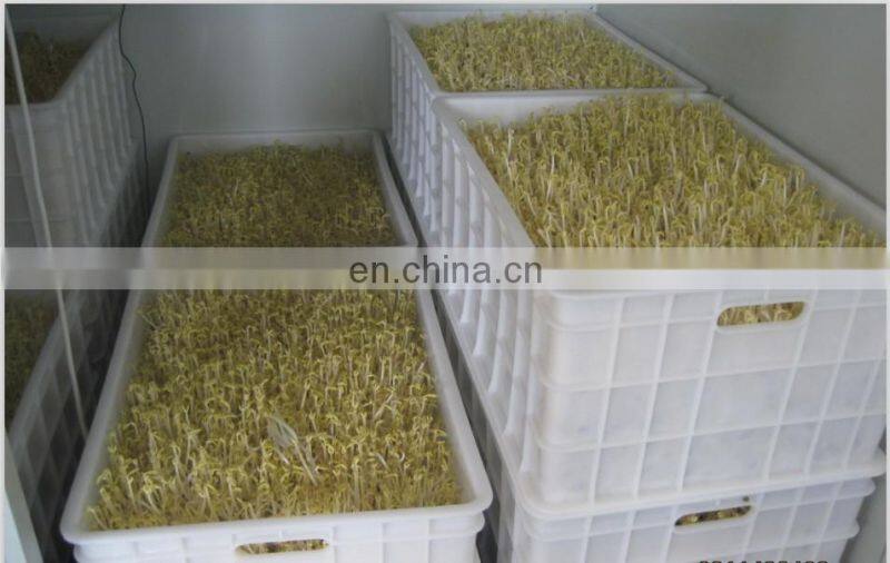 Factory Directly Supply Lowest Price Soya bean sprout making machine Garlic sprout maker machine Mung bean grower