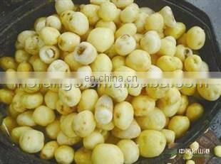 Brand new OR Series sweet potato machine / peeling machine / sweet potato peeler