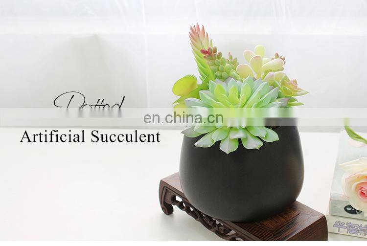 Home Garden Decorations Plastic Flower Wholesale Cute Pots Assorted Artificial Succulents With Black Pot